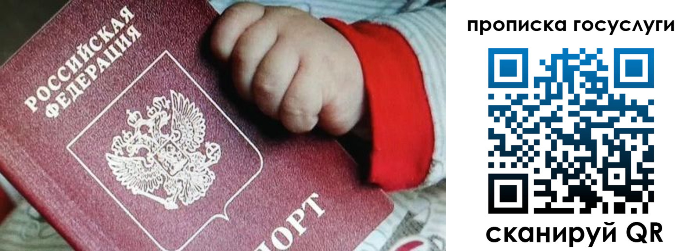прописка штамп в Коле